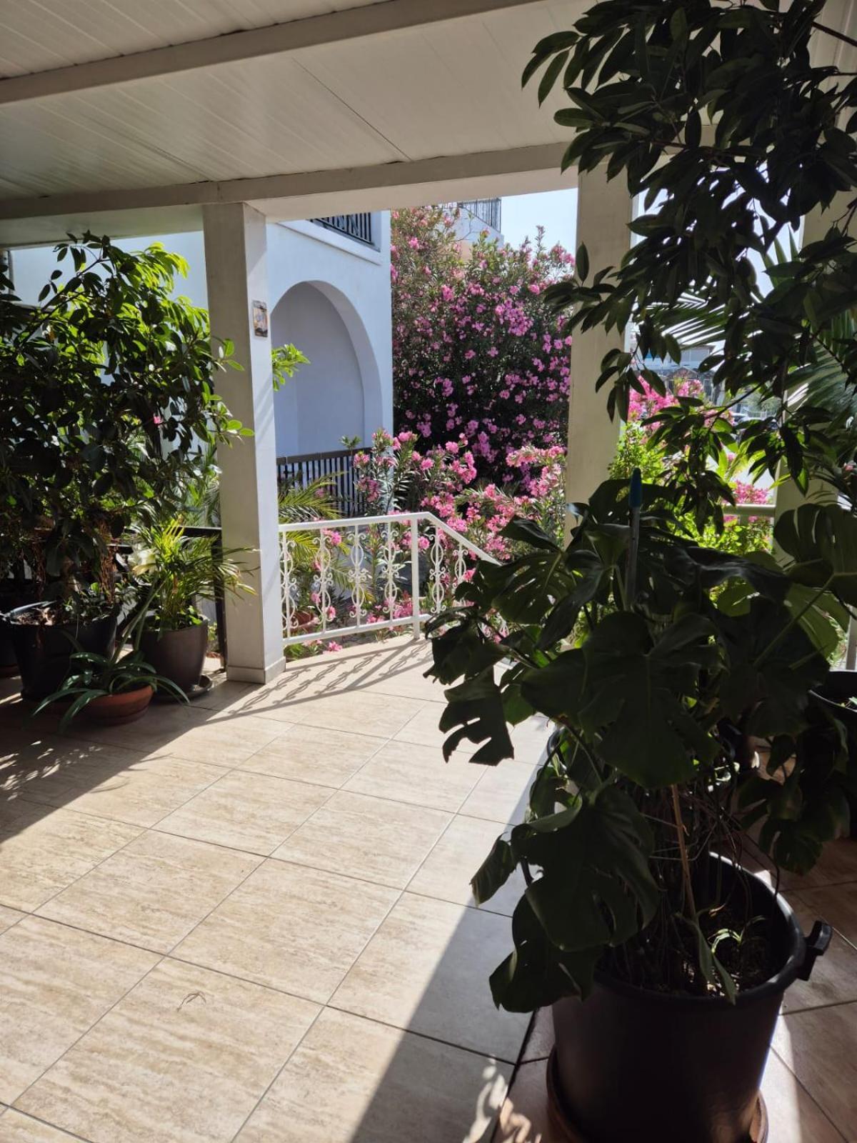 Myriama Apartments Ayía Nápa Extérieur photo